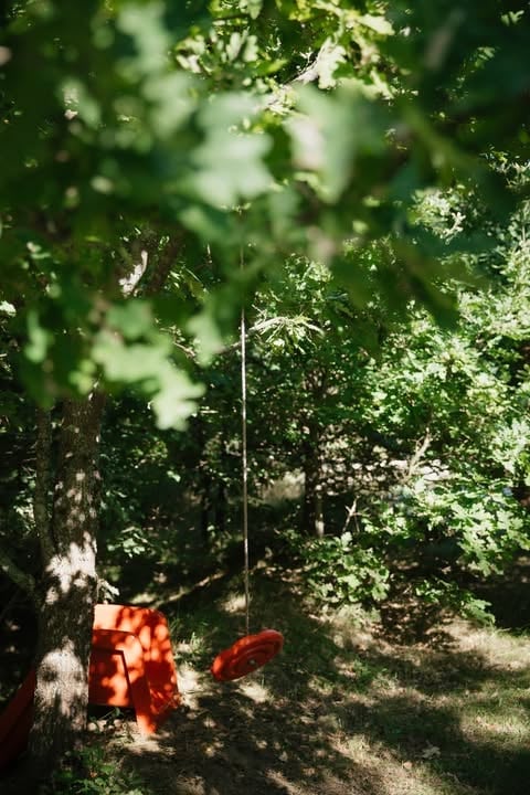 Red swing hanging from tree branch in dappled sunlight surrounded by dense green foliage