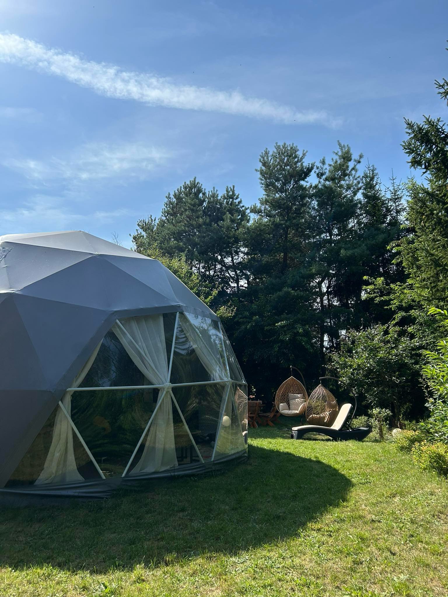 Geodesic dome tent in a grassy field with tall trees and wooden chairs under clear blue sky